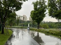 -华侨城湿地公园