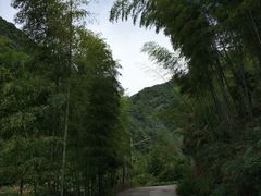 -白云源风景区
