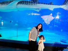 -烟台海昌鲸鲨海洋公园