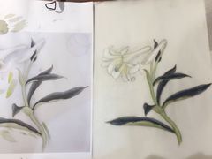 作品-谷隆画舍·国画书法素描彩铅水彩