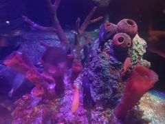 -沈阳海洋探索中心