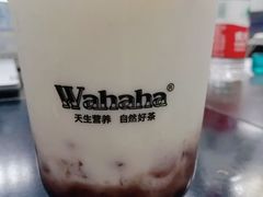 AD红豆波波冰-娃哈哈·奶茶(武林店)