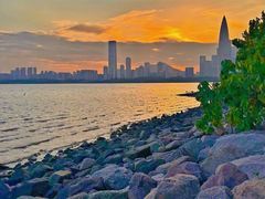 -深圳湾公园(南山区)