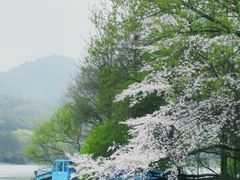 -茅家埠