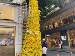 -岭南站NOVA
