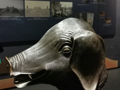 -广西壮族自治区博物馆