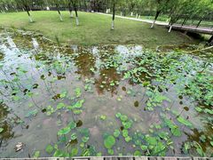 -沐仙湖湿地公园