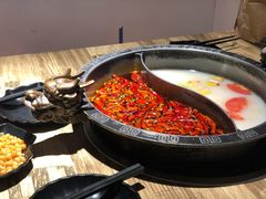 -销魂美蛙鱼头火锅(上海首店)