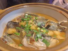 -千岛湖小鱼儿·淳安匠心农家菜