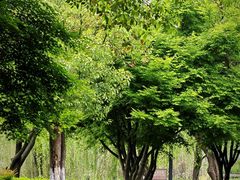 -西山漾湿地公园