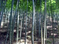 SNV35707-众神白水涧景区