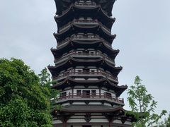 -洋湖国家湿地公园