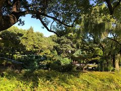 -申粤轩酒楼·三十年粤菜经典(丁香花园店)