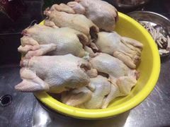 -浪琴湾尾角仔海鲜坊