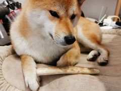 -About Bistro關於·泰式家庭料理