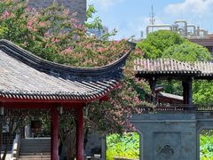 -龙潭水乡