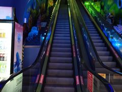 -成都浩海立方海洋公园