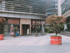 -大龙火锅(老店)