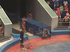 iphone_upload_pic-武汉杂技厅