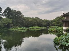 -山外山菜馆(玉泉路店)