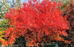 -大望京儿童游乐场