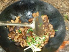 -南宁良凤江国家森林公园