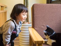 店内环境-猫的天空之城概念书店(杭州南宋御街店)