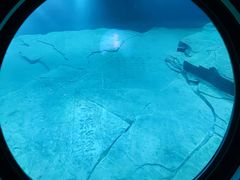 -白鹤梁水下博物馆