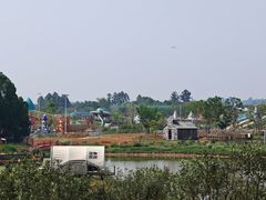 -空港花田景区