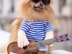 -圣马尔谷圣殿宗主教座堂