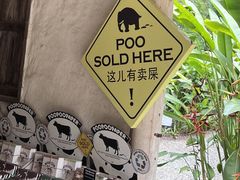 -大象粑粑造纸公园