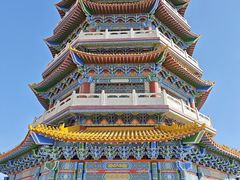 -金塔沙漠胡杨林景区