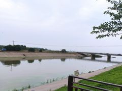 -合肥滨湖国家森林公园