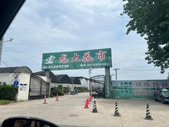 -龙大花卉苗木市场