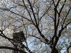 -南浦大桥长途旅游客运站