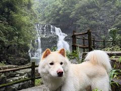 -广东大峡谷