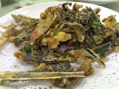 -鲤鱼塘农家山庄
