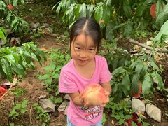 -碓臼峪自然风景区