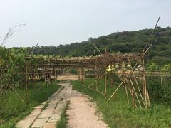 -李小龙乐园(顺德均安店)
