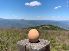 -阳台山自然风景区
