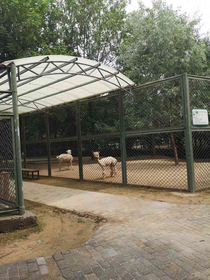 宿迁动物园-"家里有小朋友的,可以带孩子过来和动物朋友.