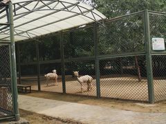 -宿豫区运河湾森林动物园