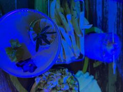 -MOSSO音乐酒吧·Live House(南京西路店)