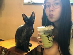 -楼上猫咖(罗湖店)
