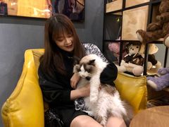 -咖法森林·咖啡  酒吧(天河店)