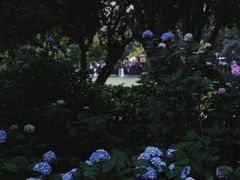 -常州古运河南大街文化旅游区-人民公园