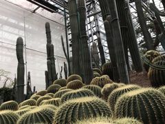 -南山植物园