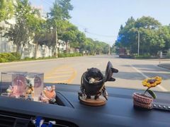 -胜华驾校·小猫学车(银都店)