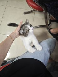 -长沙纹身· 龙堂刺青·三土师傅的店