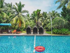 -德顺斋爆肚涮肉馆·烧烤·羊蝎子·清真炒菜(马驹桥店)